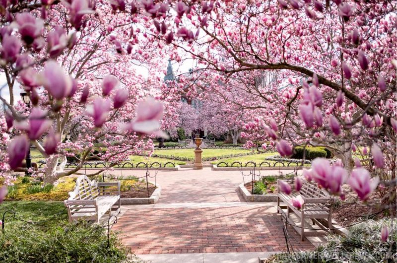 Marzo: finalmente primavera!